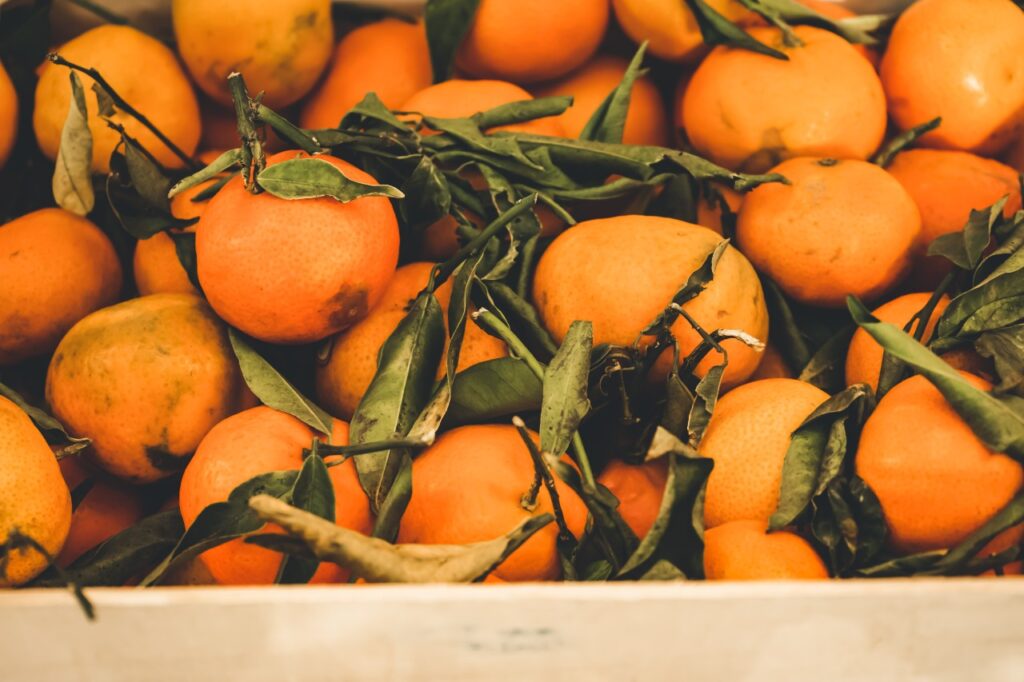 Valencia Oranges recipe